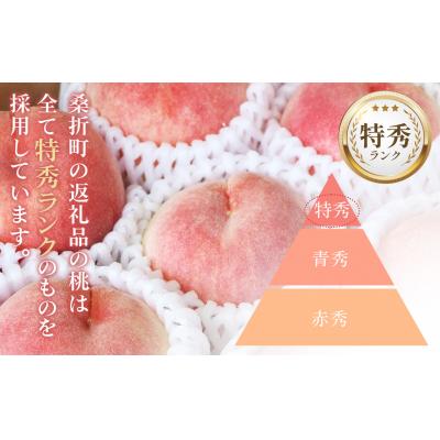 ふるさと納税 桑折町 もも【あかつき・2026年産先行受付】特秀約3kg「献上桃の郷ブランド品」桑折町産　JAふくしま未来 |  | 03