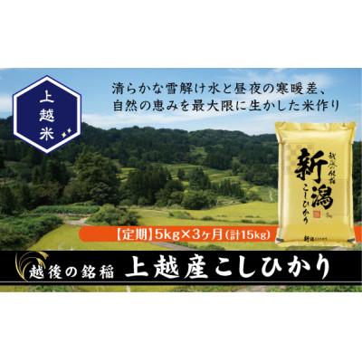ふるさと納税 上越市 【毎月定期便】食味鑑定士厳選 上越産こしひかり[5kg]全3回