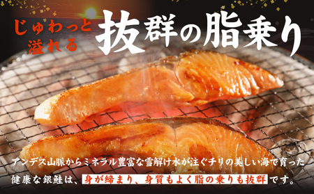 熟成 銀鮭 切り身 辛口塩味 合計 1.5kg（13切れ前後）