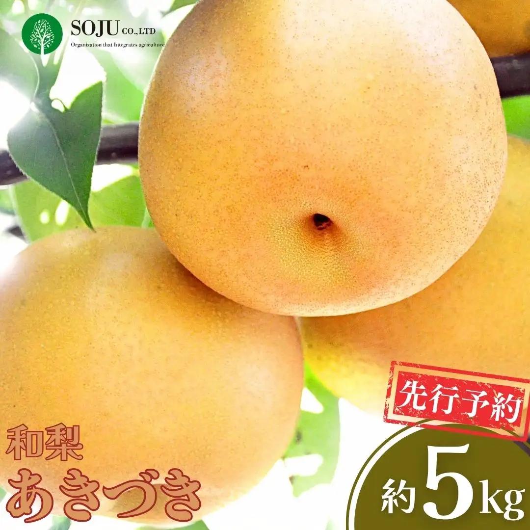 先行予約 あきづき 約5kg 令和8年 和梨 新潟県 想樹