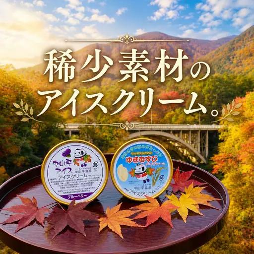 アイスクリーム12個 アイス (鳴子産 ゆきむすび6個・自然栽培ブルーベリー6個) 大崎市 鳴子温泉郷