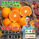 【ふるさと納税】 タカじいの 有田みかん 3kg 5kg 10kg （ 良品 サイズおまかせ2S～2L ） 6000円 8000円 12000円 ＜紀州有田産＞ ※10月中旬頃～1月順次発送予定 / 温州みかん みかん 訳あり わけあり 家庭用 果物 柑橘 和歌山 紀州 有田 //mandarin //jcm