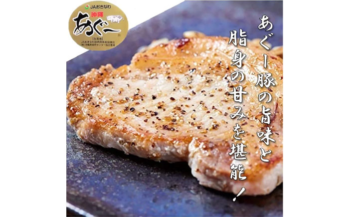 沖縄県産 あぐー豚 ハンバーグ・ステーキセット 計900g 豚 ハンバーグ ステーキ肉 冷凍 ギフト お取り寄せ 沖縄市 / お肉屋本店 [BCAZ004]