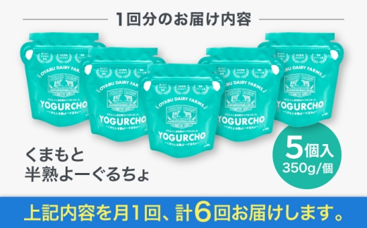 【全6回定期便】オオヤブデイリーファーム くまもと半熟よーぐるちょ 350g×5個 ヨーグルト 乳製品【株式会社 オオヤブデイリーファーム】 デザート おやつ よーぐるちょ 朝食 昼食 夕食 よーぐると ヨーグルト[AYAE006]