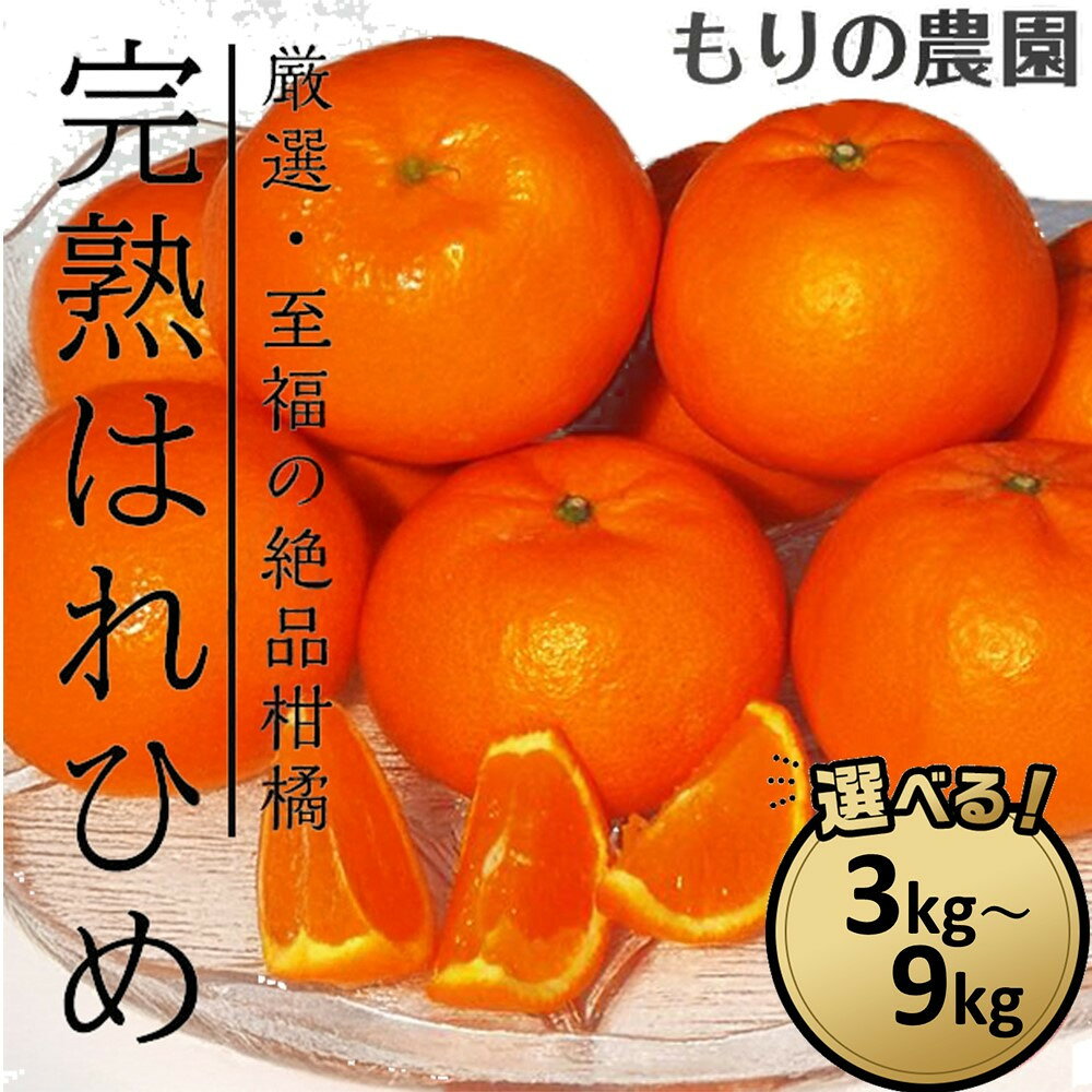 【ふるさと納税】はれひめ「みかんの甘み」と「オレンジの香り」の新品種！選べる!! 3kg～9kg | フルーツ 果物 くだもの 食品 人気 おすすめ 送料無料