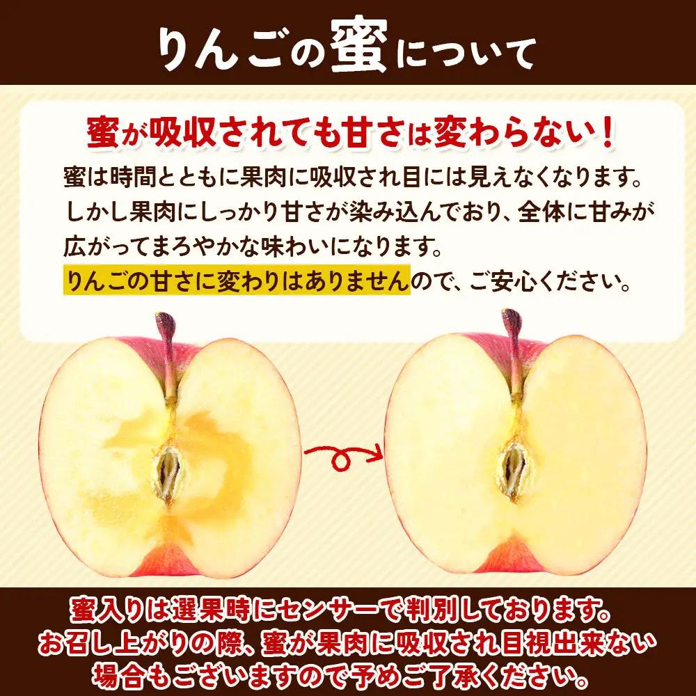 りんご 蜜入り サンふじ（みつまるくん）約 2.5kg【11月～発送】りんご