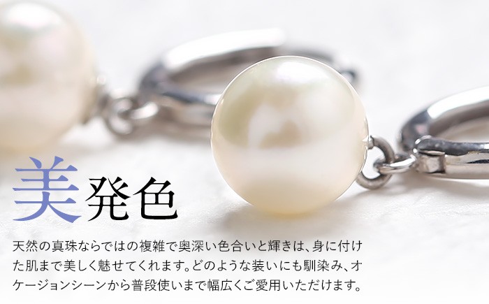 あこや真珠 ピアス 7.5-8.0mm SV アコヤ真珠 パール フープ キャッチレス レディース アクセサリー シルバー
