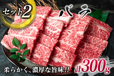 数量限定 宮崎牛 3種 お試し 焼肉 セット 合計900g_DC27-25