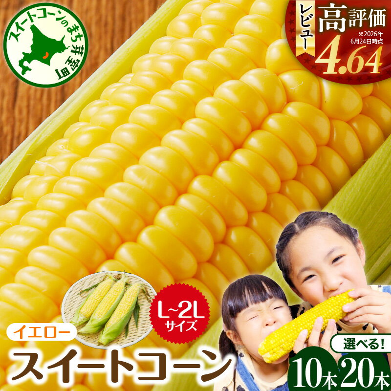 【ふるさと納税】先行予約 2026年産 とうもろこし 北海道産 イエロー種 選べる 10本 / 20本 【7月下旬～8月中旬にかけて順次発送】 / とうもろこしおいしい スイート コーン とうきび キャンプ飯 生 野菜 産地直送 冷蔵便 送料無料 お取り寄せ 北海道 十勝 芽室町