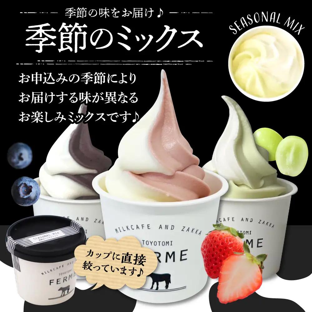 【9月配送】とよとみ牛乳ソフトクリーム 季節のミックス1種類 12個