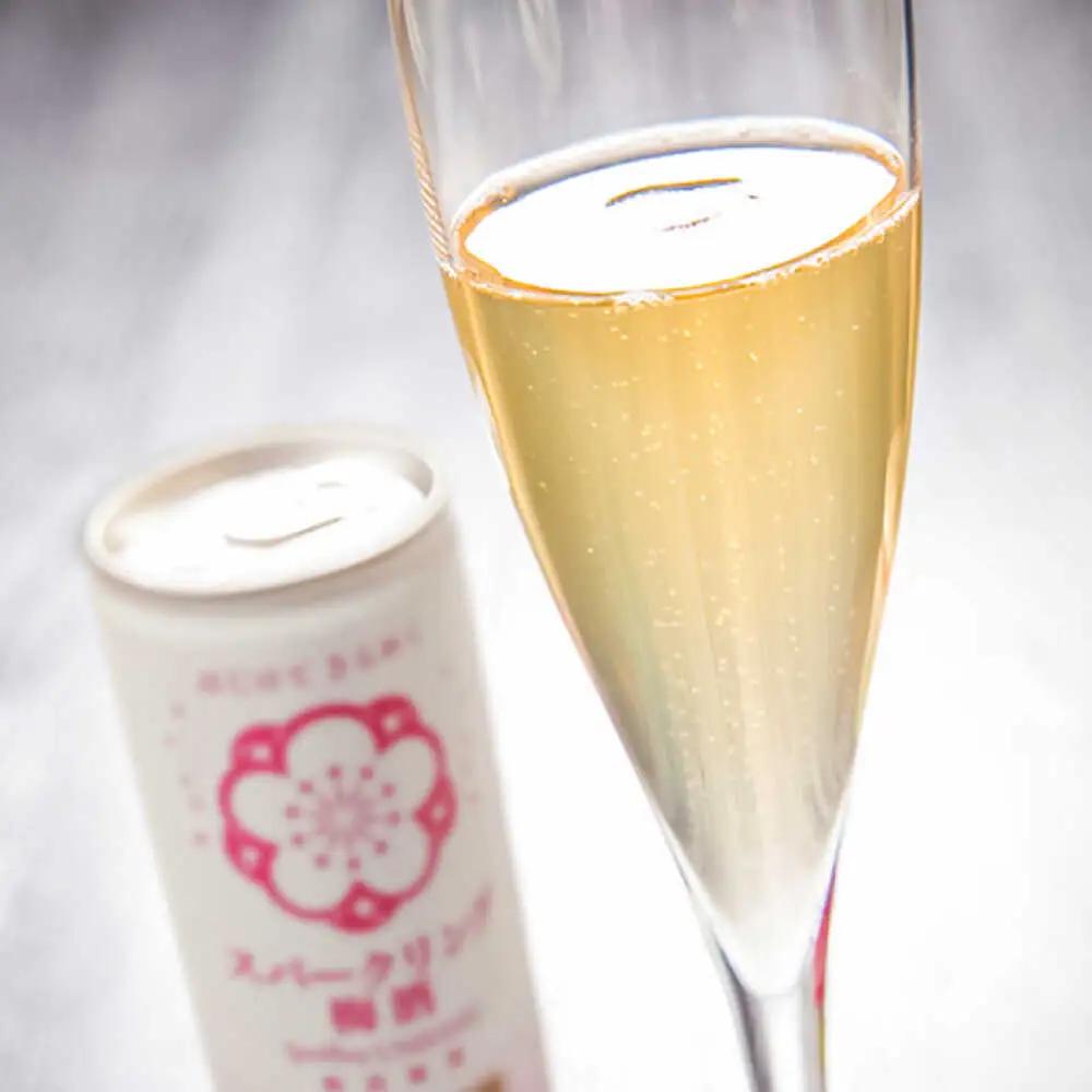 スパークリング梅酒 1ケース(250ml×30本入り) / 梅酒 本格梅酒 梅  / 日田市 / 株式会社おおやま夢工房[ARCW012]