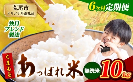 【6ヶ月定期便】熊本県産 くまもとあっぱれ米 ブレンド米 10kg 熊本県産 ふるさと納税 無洗米 精米 米 こめ ふるさとのうぜい コメ お米 おこめ《1月から出荷開始》