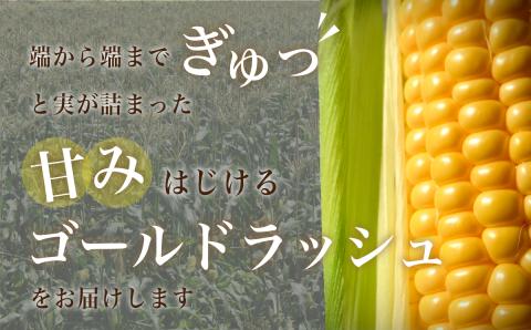 【先行予約】2023年度産ゴールドラッシュ　1箱(10~12本)