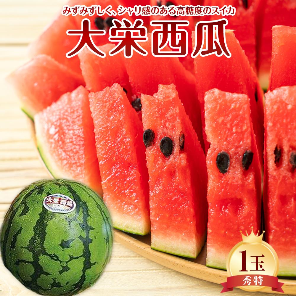 【ふるさと納税】734.【先行予約】【JA】大栄西瓜 秀特×1玉　※着日指定不可　※離島への配送不可　※2026年6月中旬頃～7月中旬頃に順次発送予定 | 西瓜 大栄スイカ スイカ 果物 フルーツ くだもの 鳥取県 北栄町 おすすめ 人気 送料無料