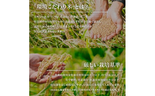 【 令和8年産 新米 】 ミルキークイーン 定期便 10kg × 6ヶ月 白米 玄米 化学肥料不使用 環境こだわり米 特別栽培米 国産 滋賀県 日野町 農家直送 米 産地直送 ふるさと納税