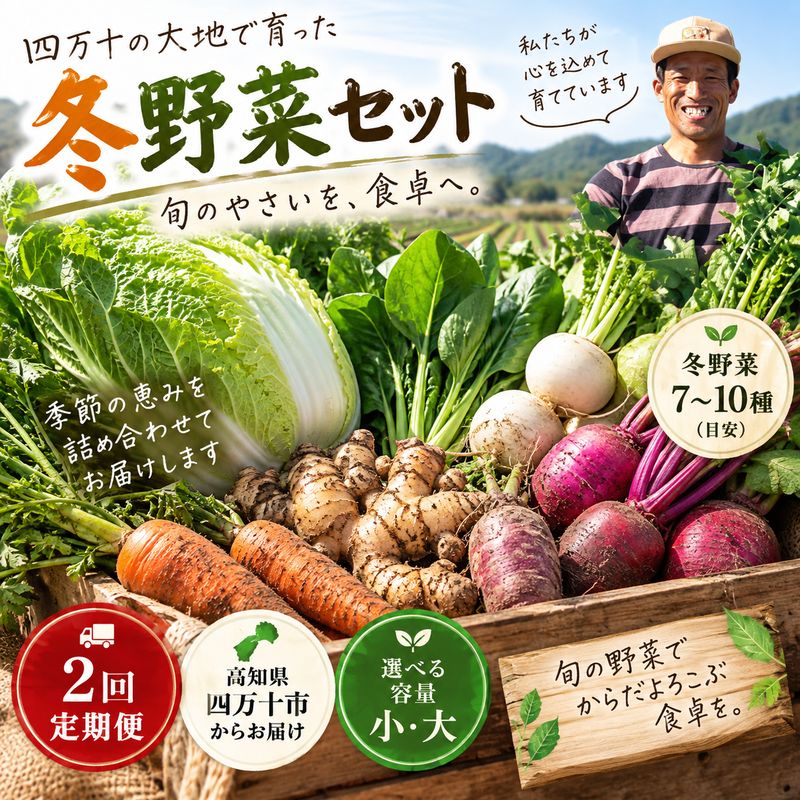【ふるさと納税】【選べる容量】2回定期便 アグリユウベの冬野菜セット 小 大 早期受付 数量限定 とれたて 新鮮 農家直送 国産 野菜セット 詰め合わせ 野菜便 やさい 野菜 冬野菜 旬 高知県 四万十市 四万十 しまんと 送料無料【配送月：2027年1月・2月】