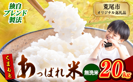 熊本県産 くまもとあっぱれ米 20kg  熊本県産 ふるさと納税 無洗米 精米 米 こめ ふるさとのうぜい コメ お米 おこめ《12月中旬-2月末頃出荷》