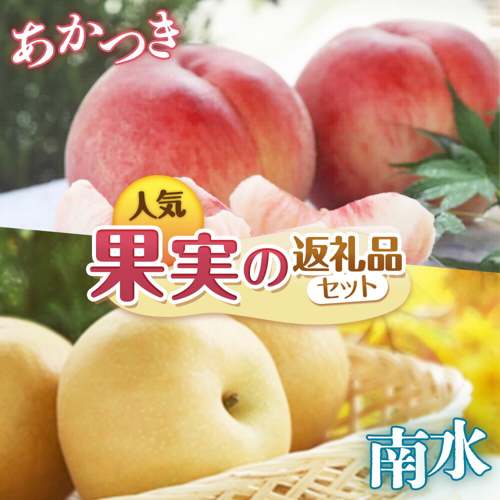 【ふるさと納税】【2027年発送先行予約】南信州産 定期便2回送り　人気果実の返礼品セット　各5kg　＜桃　あかつき＞＜梨　南水＞