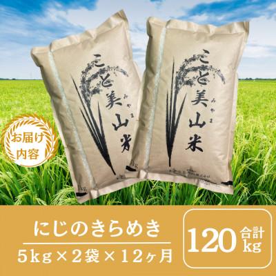 ふるさと納税 南丹市 【毎月定期便】にじのきらめき 精米 10kg(5kg×2袋)美山町産 こと美山米全12回 |  | 01