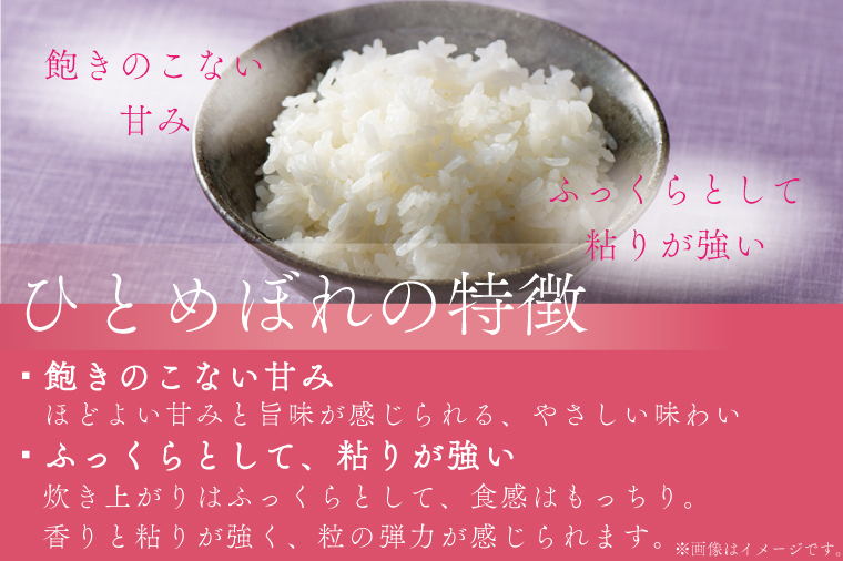【 新米 】【9回定期便】お米 10kg (5kg×2) ( 総計90kg ) 白米 ひとめぼれ 特別栽培米 ★令和8年産★ 精米 米 おこめ ご飯 令和8年 特別栽培 仕送り お弁当  5キロ 10