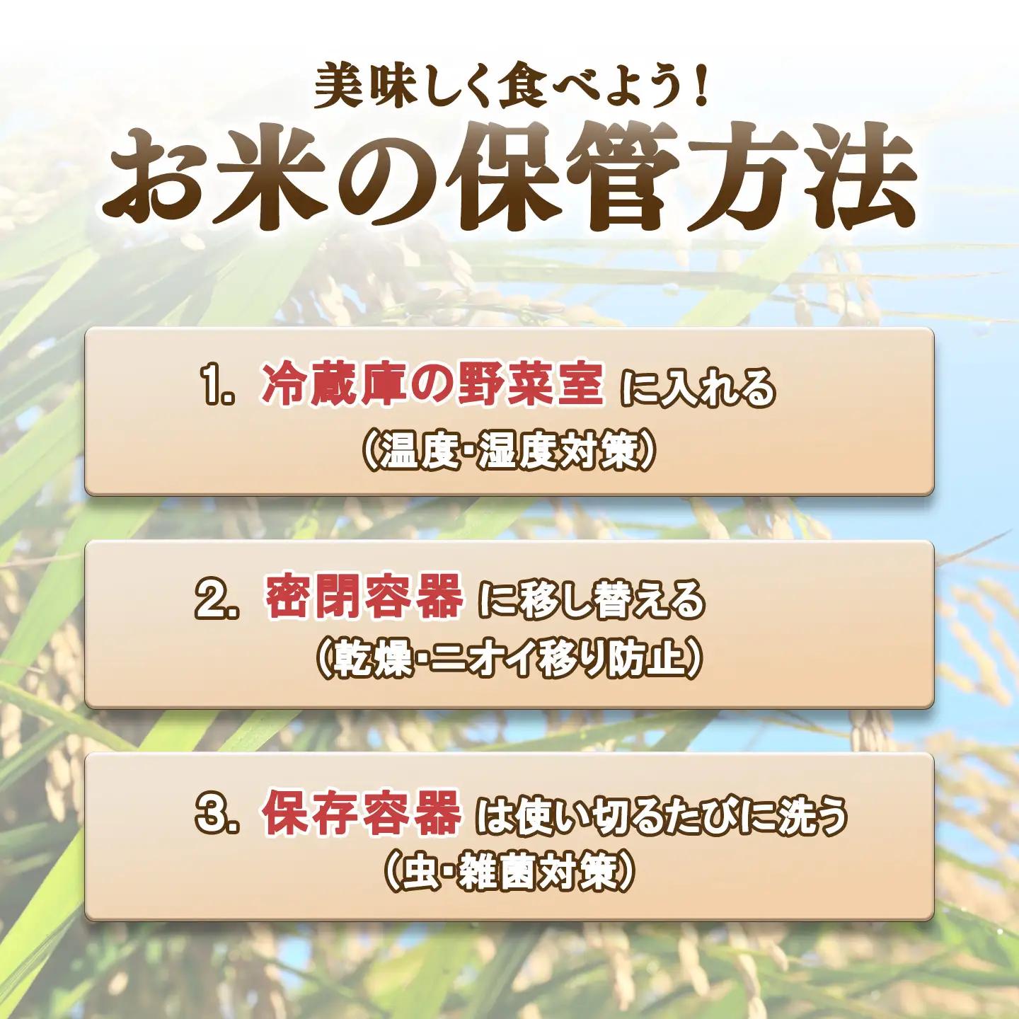 【定期便】令和7年産 市左衛門農場コシヒカリ玄米 10kg×3回 こしひかり