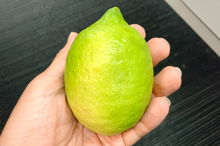 筑波山麓で育ったフレッシュレモン　1kg（訳あり） 1kg 訳アリ 不揃い 訳あり 茨城県 石岡市 B03-008