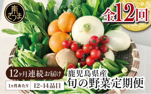 【かごしま野菜の定期便（全12回）】旬鮮野菜と果物のセット（12～14品目） 野菜 お野菜 九州 野菜BOX 旬 セット 詰合せ 定期便 JA鹿児島県経済連 南さつま市