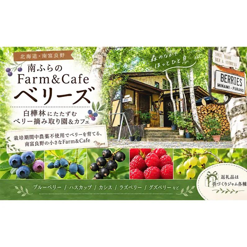 手作りジャム セット 【グズベリー】 2個 北海道 南富良野町 ジャム ベリー ソース 果実