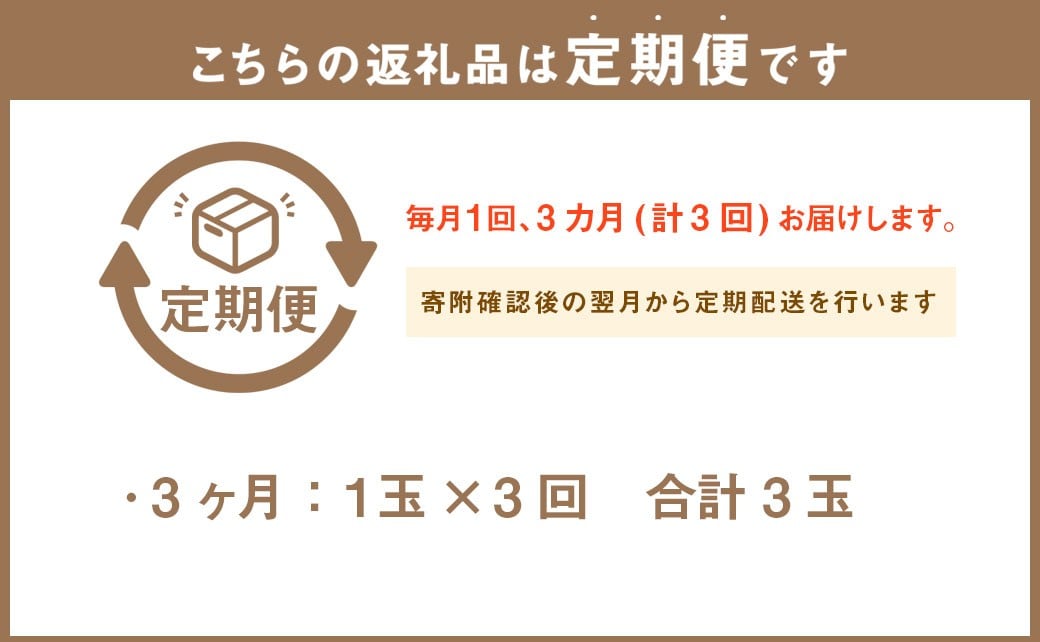 【3ヶ月定期便】静岡県産 高級 アローマメロン 小玉 1玉 約2.7kg以上 化粧箱入