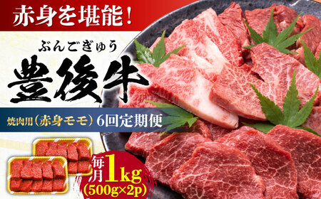 【全6回定期便】おおいた豊後牛 赤身モモ 焼肉用 1kg(500g×2P) 日田市 / 株式会社MEAT PLUS　牛 うし 黒毛和牛 和牛 豊後牛[AREI096]