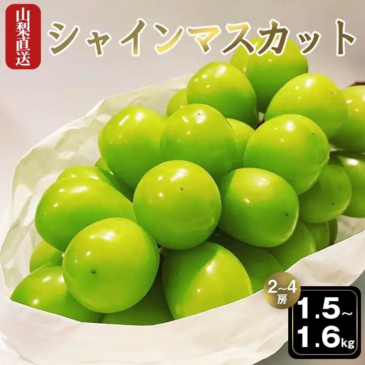 【2026年発送★先行予約】厳選!!池田青果のシャインマスカット1.5~1.6 kg 2 房~4 房173-007