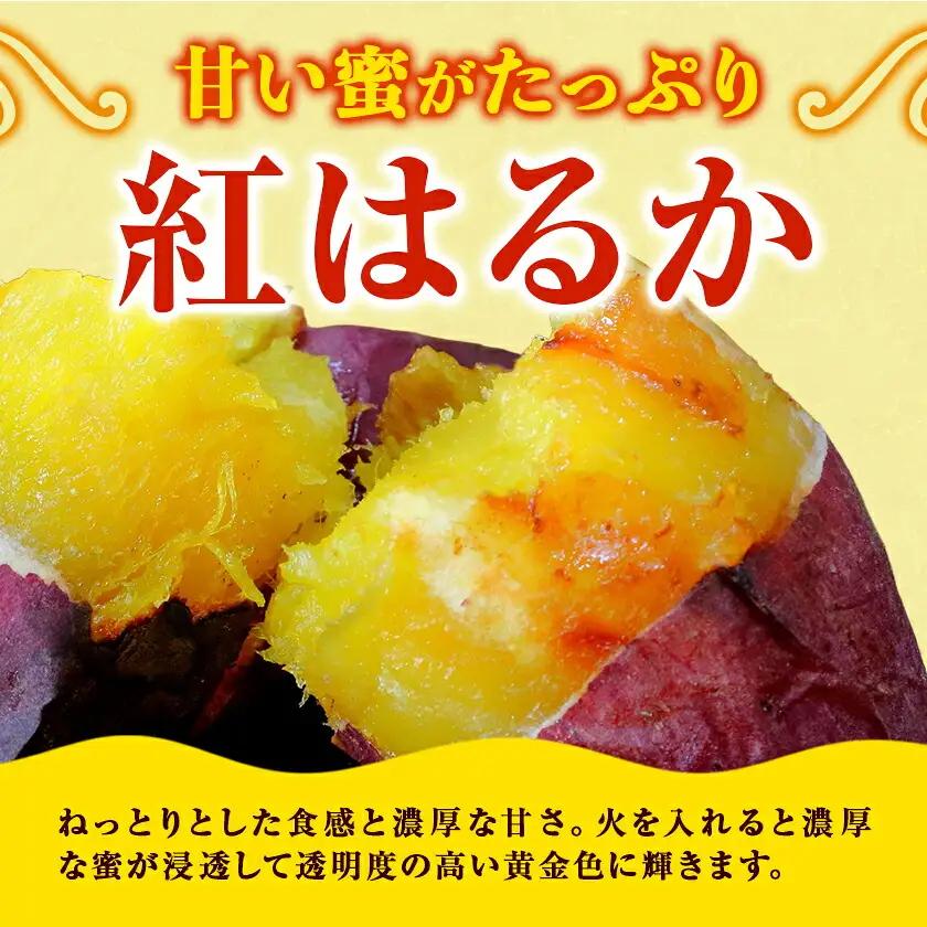 【先行予約】タカハマ観光農園 の 紅はるか 約3kg Sサイズ
