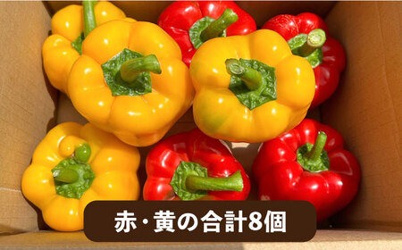肉厚 パプリカ 8個 福岡県 糸島産 シーブ 糸島市 野菜 ピーマン[AHC031] パプリカ野菜 パプリカやさい パプリカぱぷりか パプリカピーマン パプリカ肉厚 パプリカ生 パプリカピクルス パプ