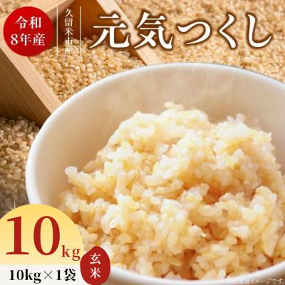 ふるさと納税 久留米市 先行予約【令和8年産】福岡県産ブランド米 元気つくし(玄米) 10kg(久留米市)