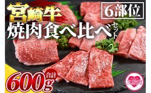 ＜3D冷凍宮崎牛焼肉食べ比べセット＞(合計600g)肩ロース、バラ、モモ、ウデ、ロース、ヒレ各100gずつ！【MI089-my】【ミヤチク】