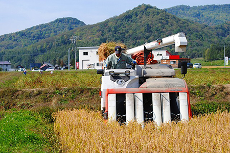 【A57217】愛別町産米（もち米2kg×2袋）