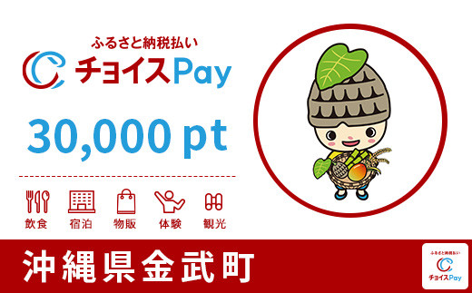 
金武町チョイスPay 30,000pt（1pt＝1円）【会員限定のお礼の品】
