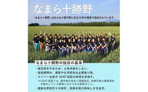 【先行受付】【2027年7月下旬～8月15日頃配送】北海道十勝芽室町 なまら十勝野のスイートコーン ゴールドラッシュ(30本) me001-011-27b／ゴールドラッシュ コーン とうもろこし 生 