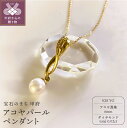 【ふるさと納税】 ペンダント ネックレス レディース ジュエリー アクセサリー ダイヤモンド 計0.02ct 真珠 アコヤパール K18 イエローゴールド 上品 ギフト プレゼント 誕生日 贈り物 ラッピング ジュエリーケース付 鑑別書付 保証書付 k001-789