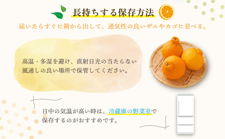 【先行予約】宇城市産  あーちゃん家の 不知火 5kg 【2026年4月上旬〜5月下旬発送予定】 しらぬい 柑橘 みかん ミカン 蜜柑 オレンジ 