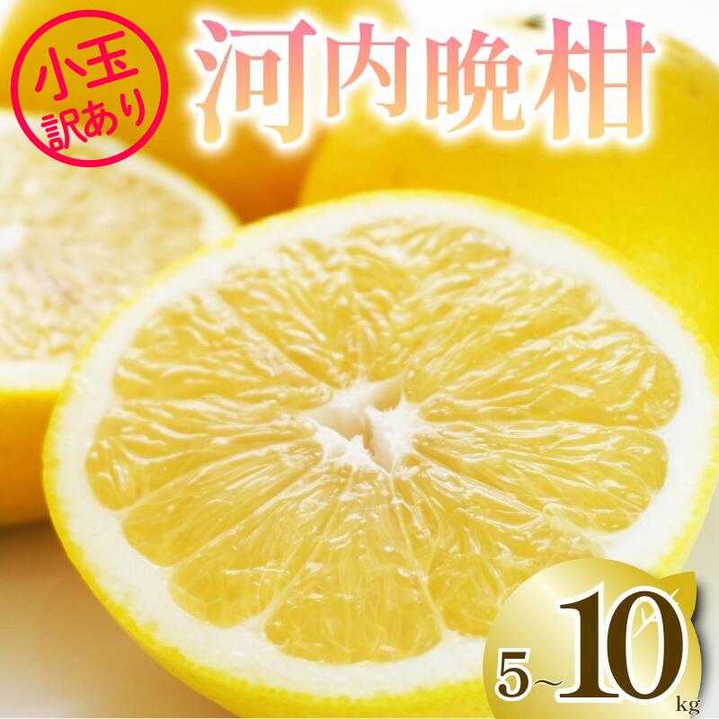 【ふるさと納税】 選べる 容量 訳あり 河内晩柑 5kg 10kg 2S から M 小玉 サイズミックス 樹齢 20年 以上 古木 愛南ゴールド 和製 グレープフルーツ 家庭用 愛媛 みかん 果物 フルーツ デザート ジュース ゼリー 特産品 愛媛県 愛南町 清家ばんかんビレッジ