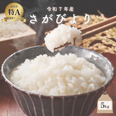 ふるさと納税 大町町 【先行予約】令和7年産 さがびより 5kg(大町町)【29kg-0001】