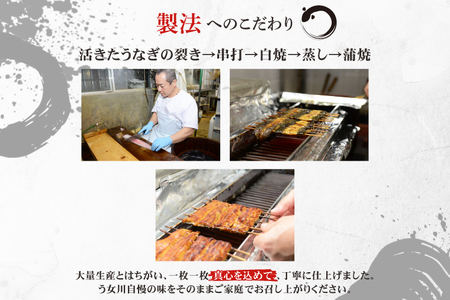 【う女川】うなぎ 蒲焼 かば焼き 5尾(5パック）【鰻 ウナギ 土用丑の日 土用 丑の日 かば焼き 蒲焼き 白焼 たれ焼き】（IX-4）