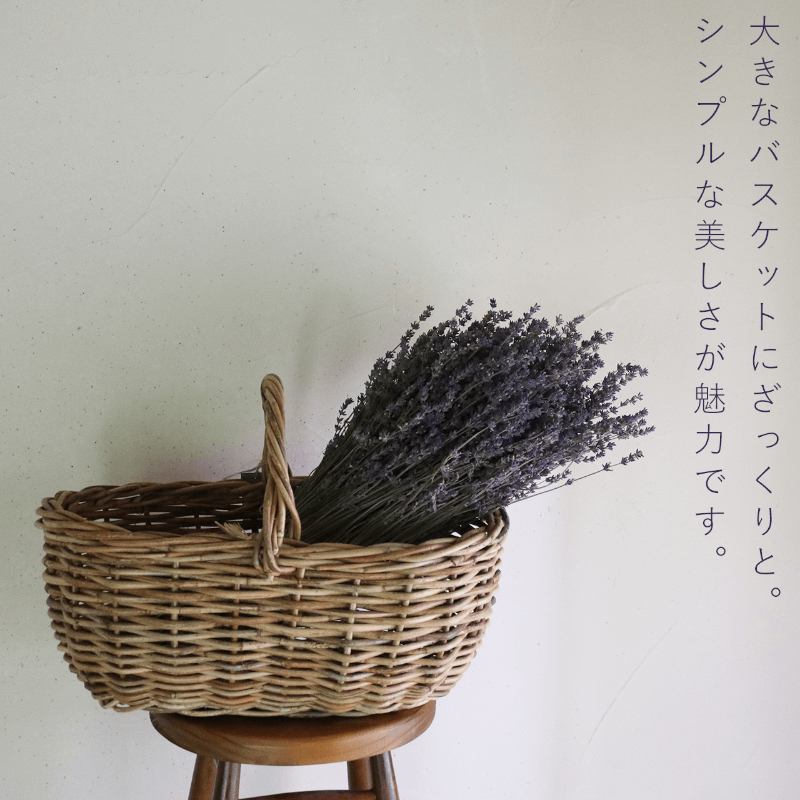 【2025年9月上旬から順次お届け】富良野 花七曜 上富良野 ラベンダー ブーケ Lサイズ ◆ ドライフラワー 花束 花 インテリア 雑貨 植物 ギフト プレゼント 贈り物