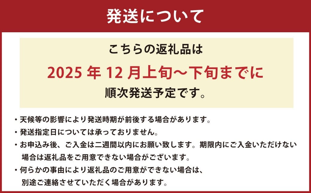 熊本県 河内産 みかん 石地温州 3kg 有機肥料使用