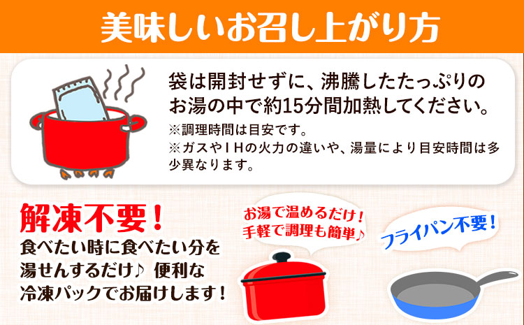 特製ジャポネソースハンバーグ 150g×20個 国産牛肉使用 《7-14日以内に出荷予定(土日祝除く)》 冷凍 大容量 玉東町 国産 肉 牛肉 豚肉 返礼品 温めるだけ 小分け 簡単 調理 特製 惣菜