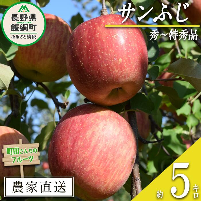 【ふるさと納税】 りんご サンふじ 秀 〜 特秀 5kg 町田さんちのりんご 長野県 飯綱町沖縄県への発送不可 〔 リンゴ 林檎 果物 フルーツ 信州 長野 16000円 予約 農家直送 〕発送期間：2025年12月上旬〜2026年2月上旬{***}