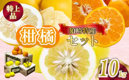 定期便 3回 限定25セット ポンカン 土佐文旦 小夏 各 10kg 特上品 須崎特産 みかん ミカン 立目ぽんかん 土佐文旦 ぶんたん 柑橘 贈り物 プレゼント 計 30kg 箱セット 季節限定 数量限定 時期限定 KJS13000