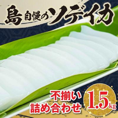 ふるさと納税 知名町 沖永良部島 イカの王様!ソデイカ 1.5kg