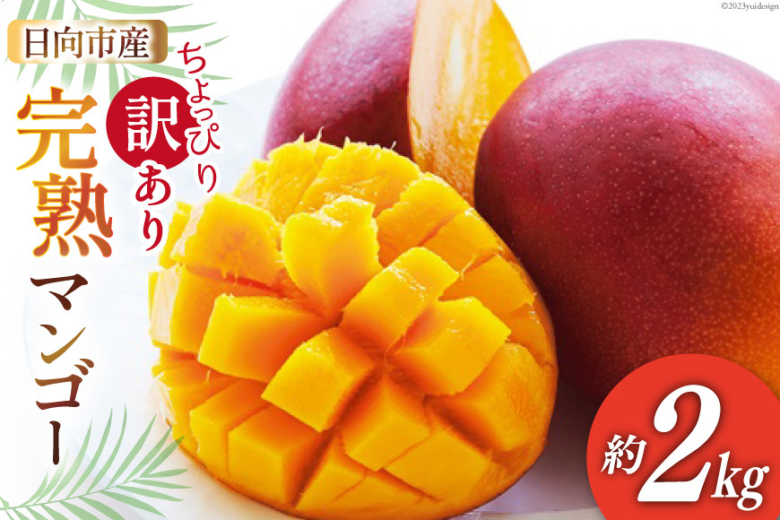 【2027年夏発送】 訳あり マンゴー 約 2kg [宮崎県農業協同組合日向地区本部（販売課） 宮崎県 日向市 452060660] ふるさと納税  果物 フルーツ 宮崎 完熟 完熟マンゴー 2キロ 訳アリ ワケあり くだもの 甘い 冷蔵 期間限定
